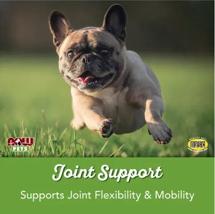 Joint Support for Dogs/Cats, 90 Chewable Tablets, by NOW Pets