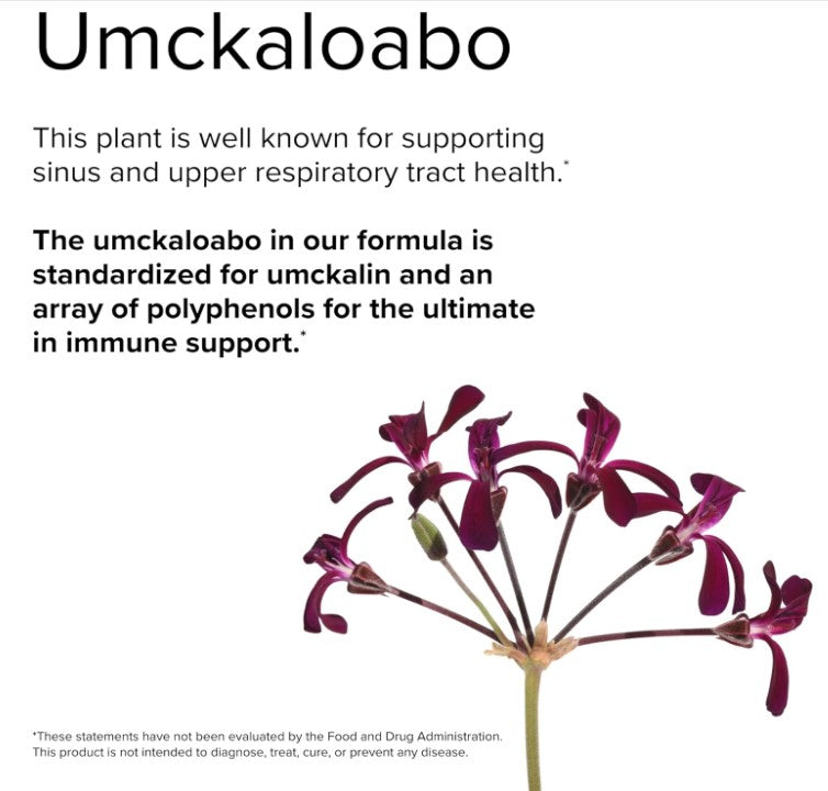 Terry Naturally Andrographis EP80 with Umckaloabo, 60 Capsules, by Europharma